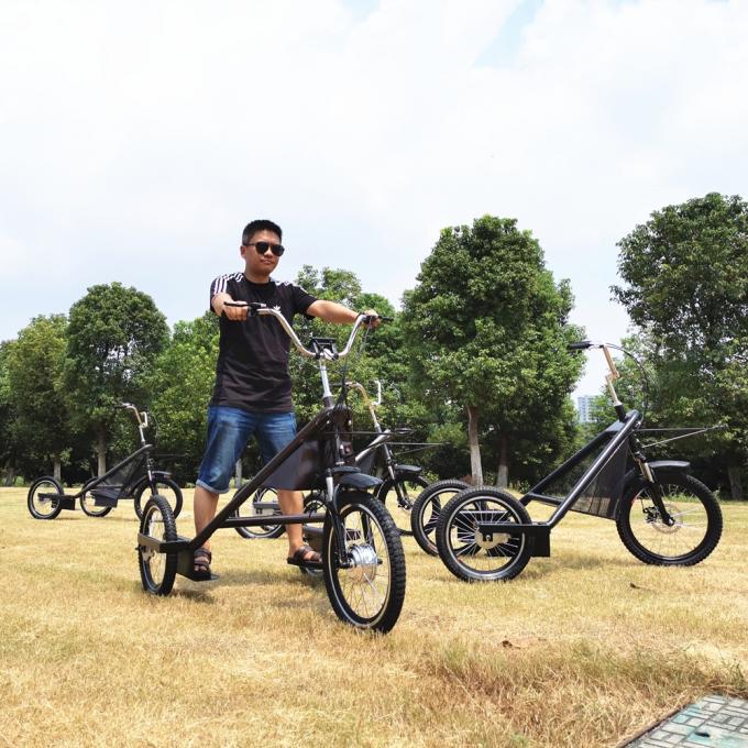 Powered Dog Trike Tricycle