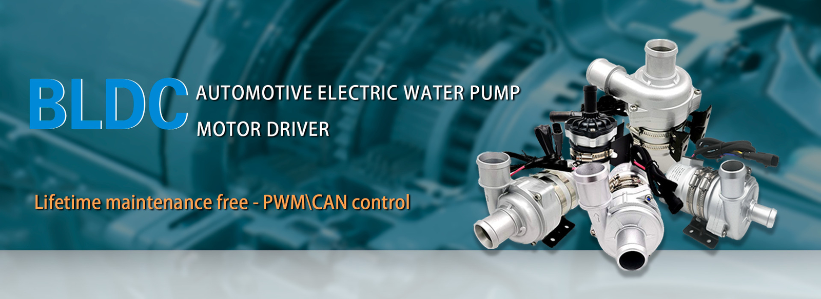 Automotive Electric Water Pump