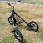 Powered Dog Trike Tricycle